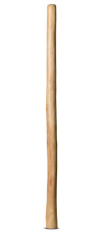 Natural Finish Didgeridoo (TW807)